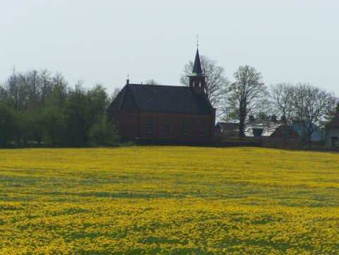 Rottum kerk met paardenbloemen